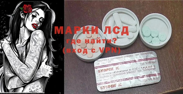 индика Богородск