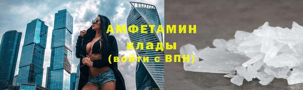 индика Богородск