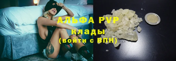 индика Богородск