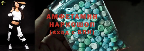 индика Богородск