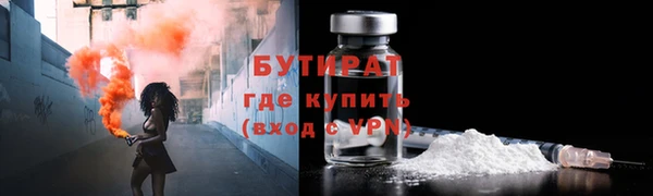 индика Богородск