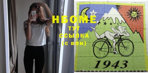 индика Богородск