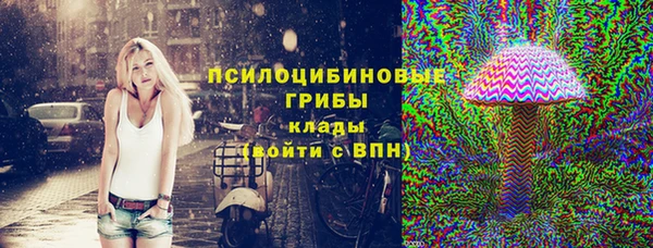 марки lsd Богданович