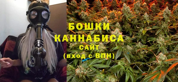 индика Богородск