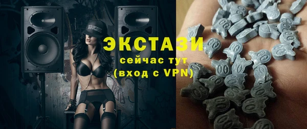 индика Богородск