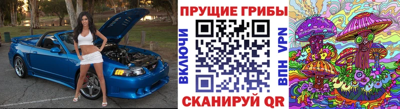 Галлюциногенные грибы Magic Shrooms  MEGA как зайти  Шлиссельбург  купить наркотик 